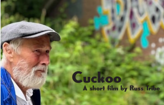 Cuckoo poster